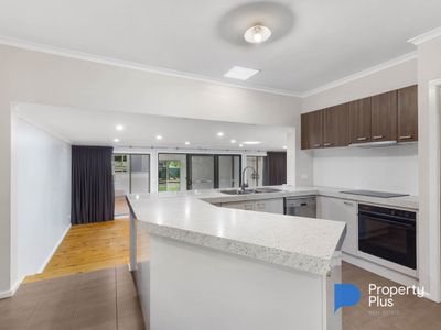 40 Barrell Street, California Gully