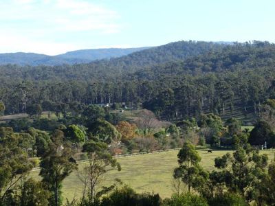 Lot 14, Lot 14 Yowaka River Road, South Pambula