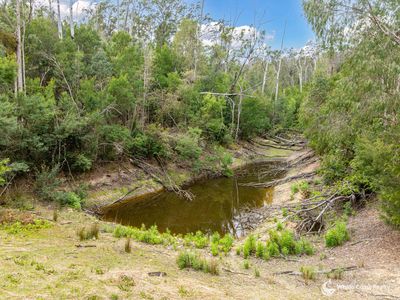 48 BOLD HILL ROAD, Narooma