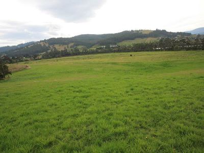 9005 Channel Highway, Huonville