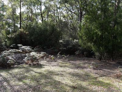 Lot 2 Sandhill Road, Cradoc