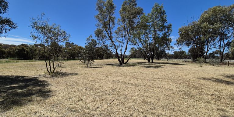 Lot 1, Irwin Street, Violet Town