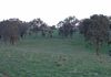 1721 The Escort Way, Orange