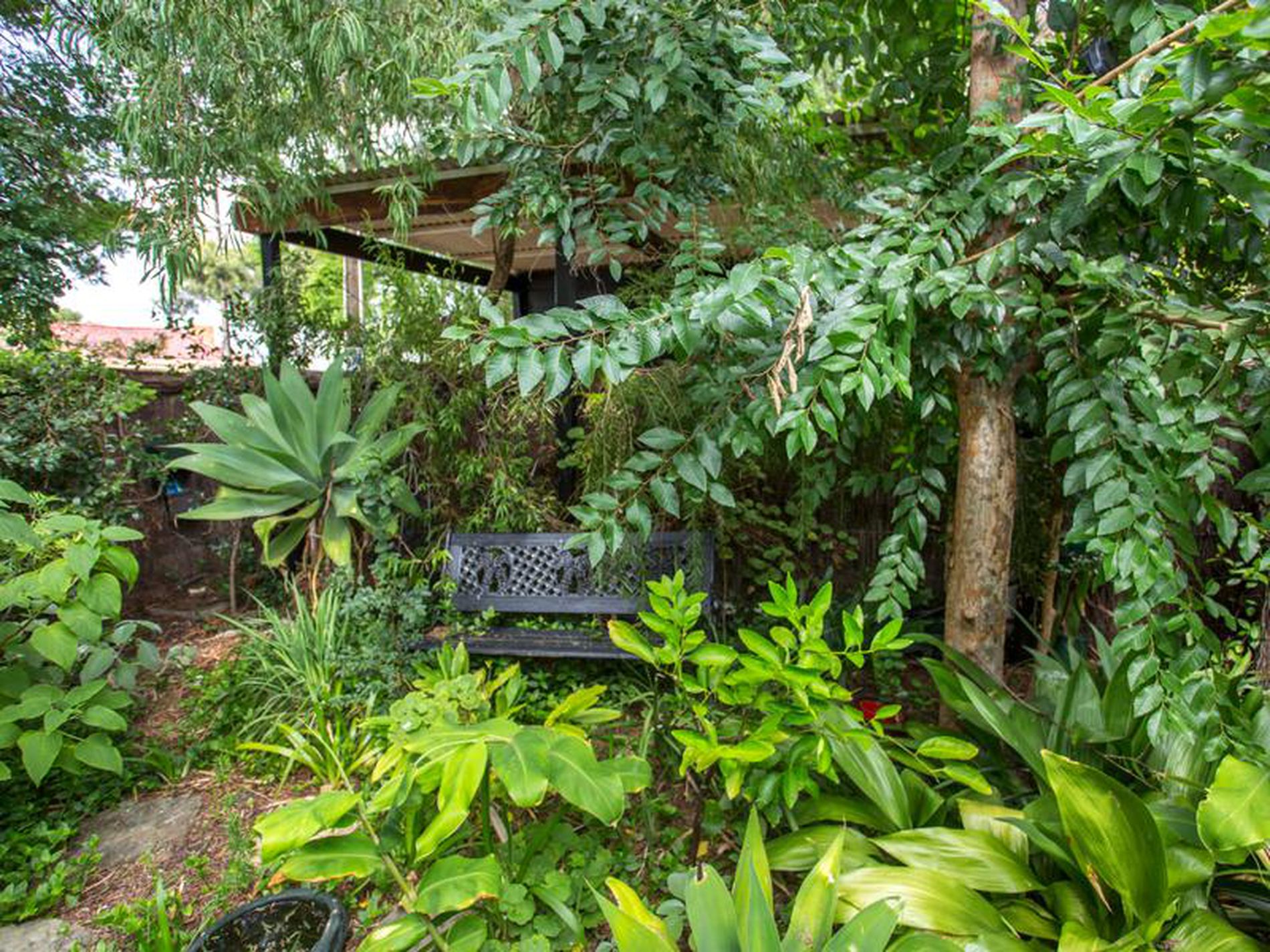 3 / 71 Hill Street, Mitcham