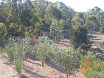 50 COMMON DAM TRACK, Heathcote