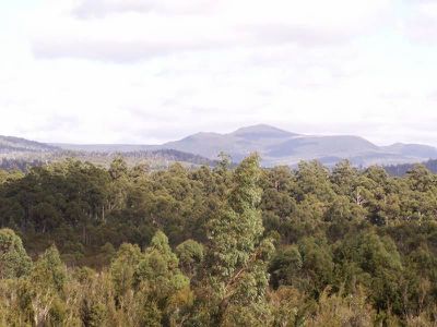 Huon Highway, Strathblane
