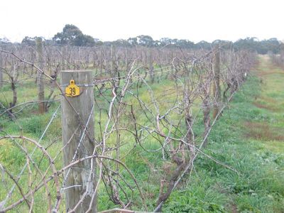 CA 13C SHORTS LANE, Heathcote
