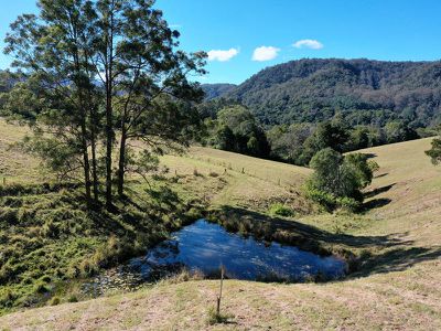 1242 Tuntable Creek Road, Nimbin