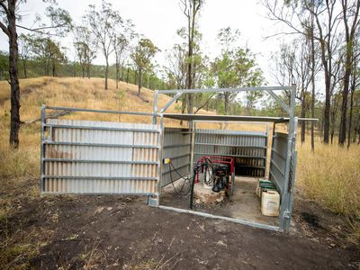 43 Berlin Road, Mount Berryman