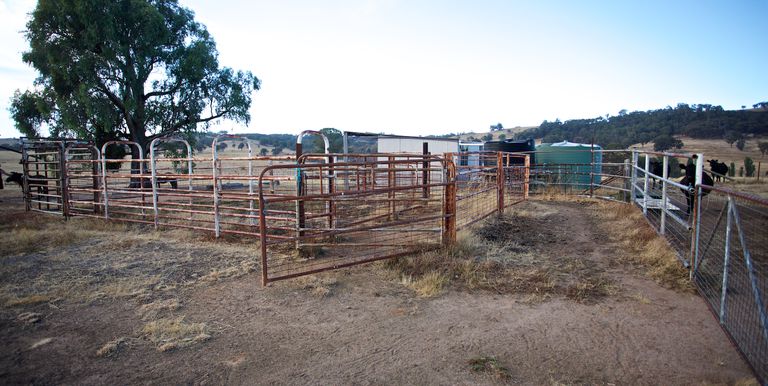 441  Coach Road, Strathbogie