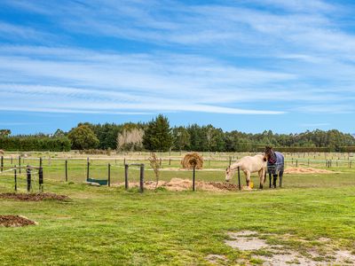 856 Rangiora Leithfield Road, Amberley