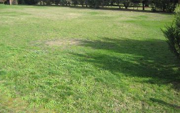 Lot 1, 198 Kenilworth Avenue, Beaconsfield