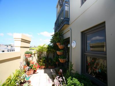 405 / 82 Abercrombie Street, Chippendale
