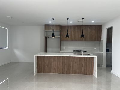 41 Rowcliff Circuit, Lochinvar