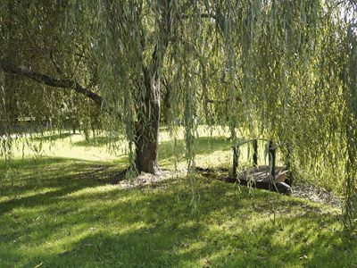 8 VAUGHAN AVENUE, Robertson