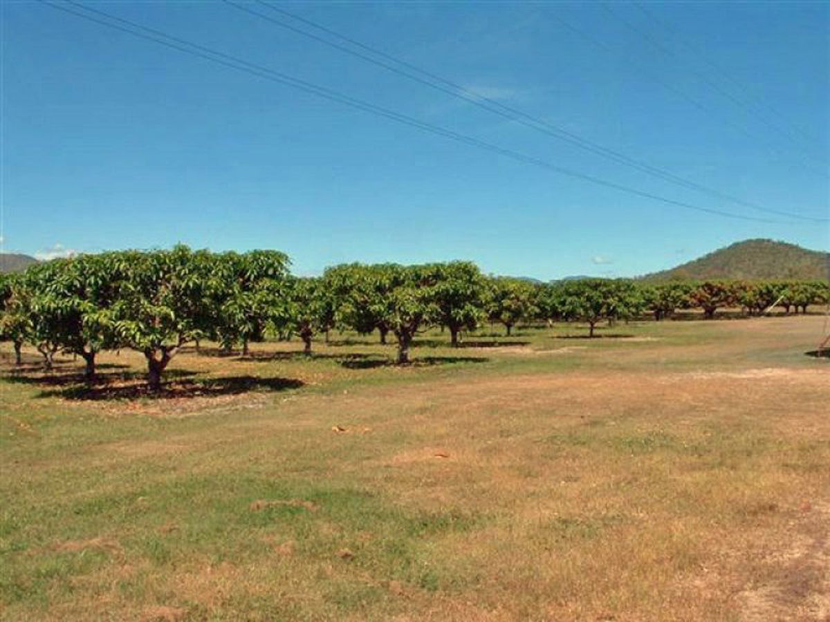 Mareeba