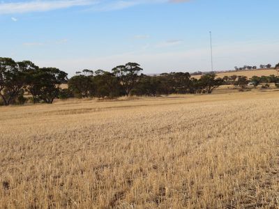 10352 / Cunderdin-Quairading Road, Cunderdin