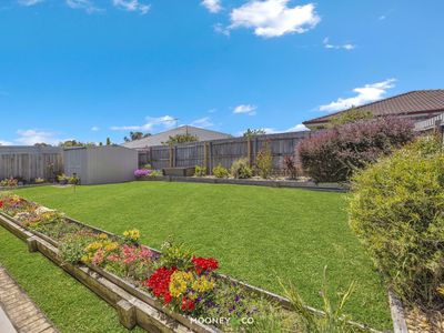 8 Blainroe Crescent, Cranbourne