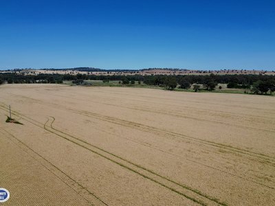 9889 Renshaw McGirr Way, Parkes