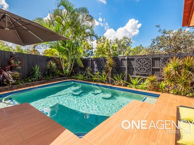 8 Teasel Crescent, Forest Lake
