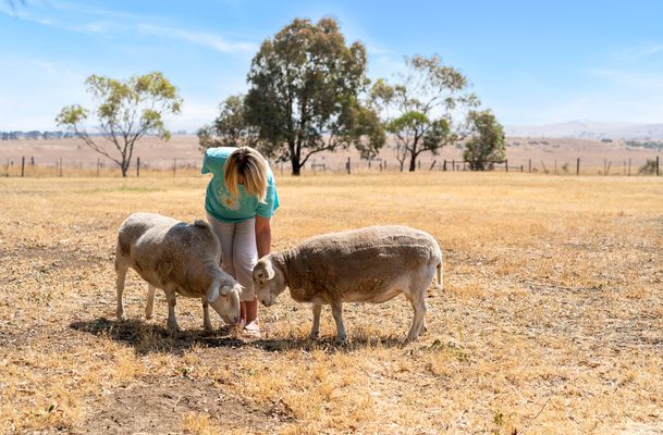 45 The Ridge, Oaklands Junction