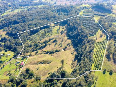 1740  Nimbin Road, Koonorigan
