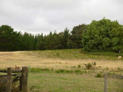 Lot 3 Kennedy Road, Tantanoola