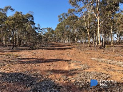 1 Bendigo-Maryborough Road, Shelbourne