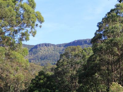 339 Free Selectors Road, Foxground