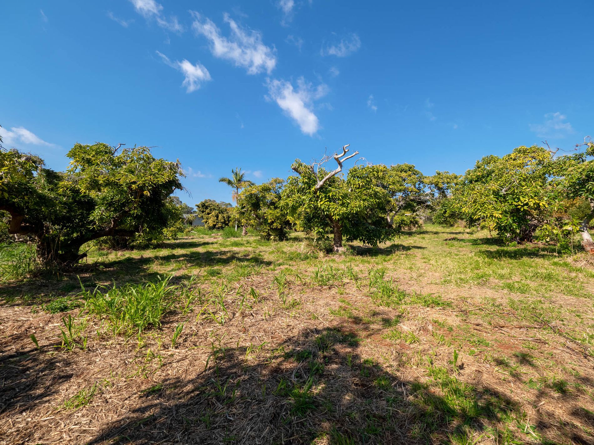 61-67 Kings Road, Russell Island