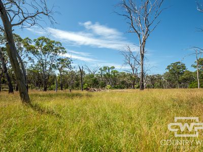 1460 Torrington Road, Stannum