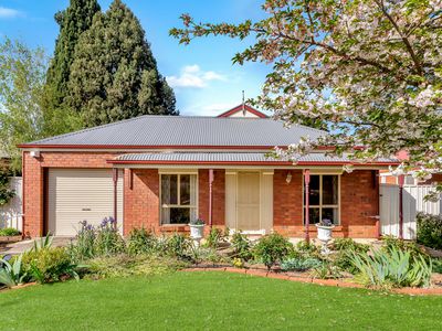 31 Gollan Circuit, Mount Barker