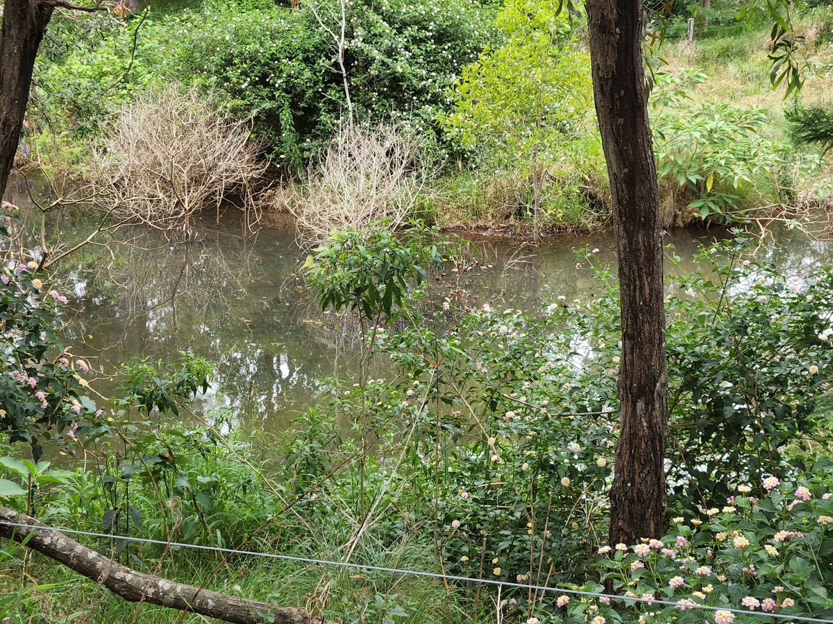 94 HARDGRAVE ROAD, Benarkin North Main Street Realty