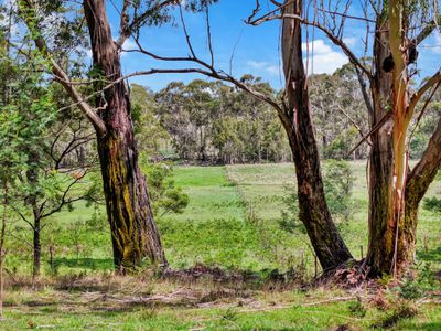 195 Halls Lane, Braidwood