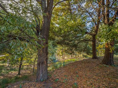 318 Bakers Creek Road, Lucaston