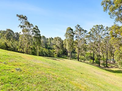 23 Blackbutt Lane, Malua Bay