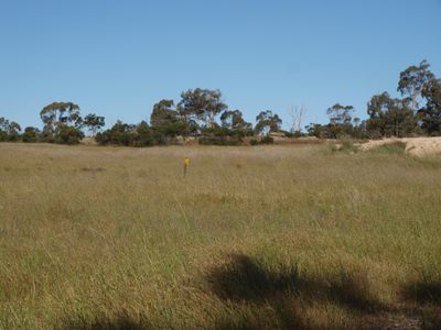 Lot Lot 1 LP207709, WEDDERBURN JUNCTION EAST ROAD, Fiery Flat