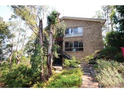 14 Andrea Street, Eden