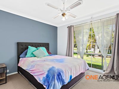12 Sandpiper Close, Albion Park Rail