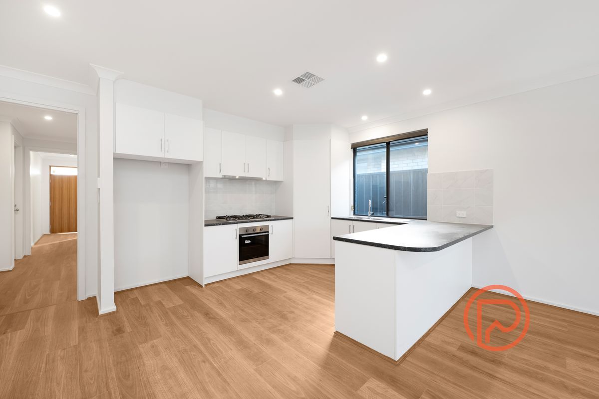 41 Belair Circuit, Andrews Farm