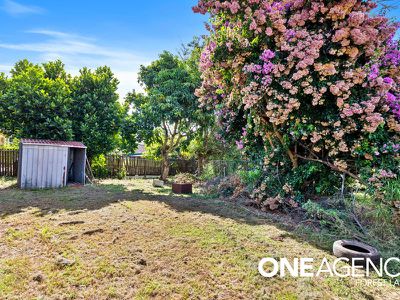 3 Holly St, Inala