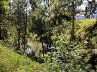 141 Moss Vale Road, Kangaroo Valley