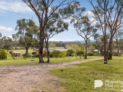 403 Ottreys Scrub Road, Walmer