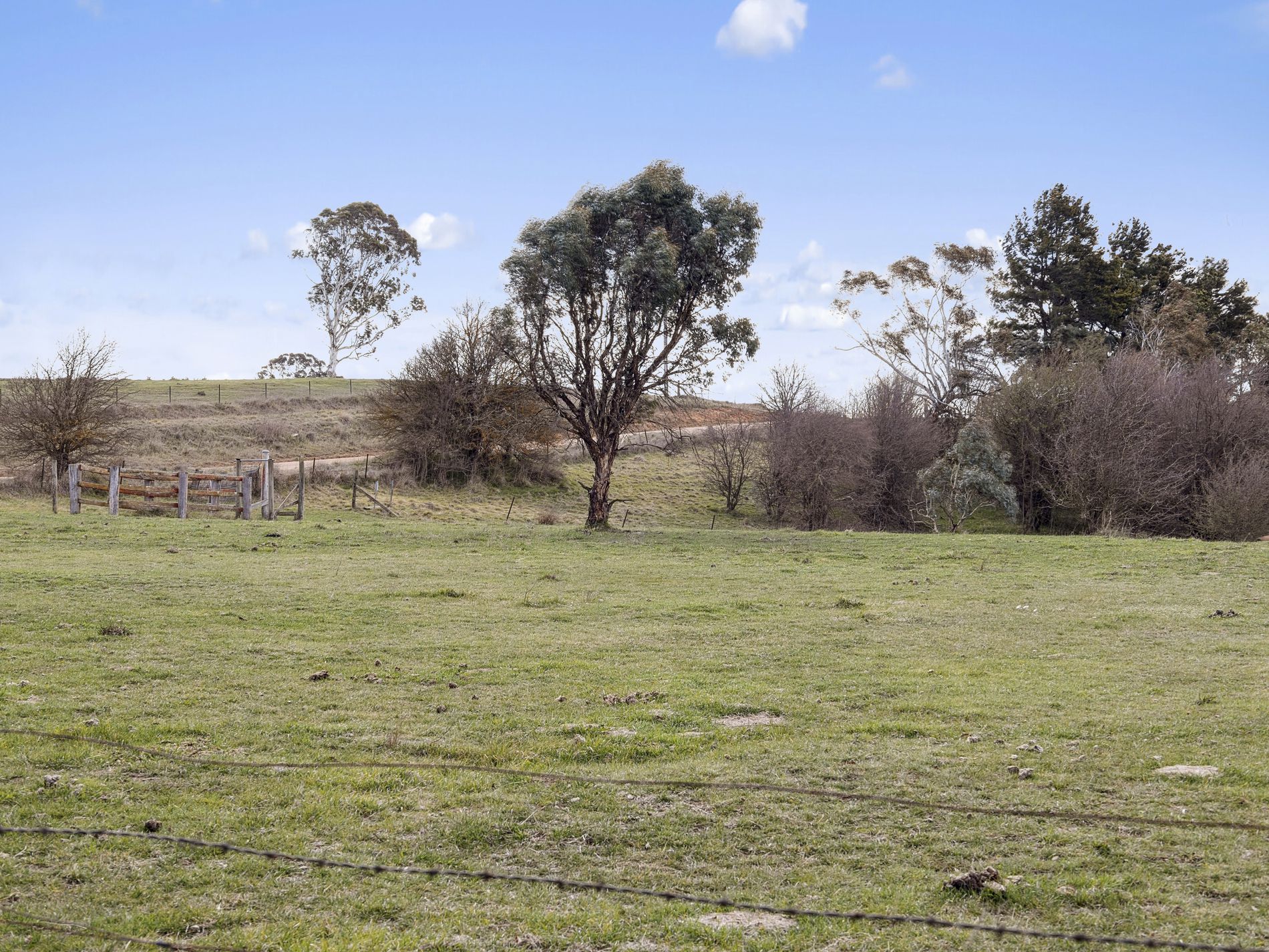 453 Woolcara Lane, Primrose Valley
