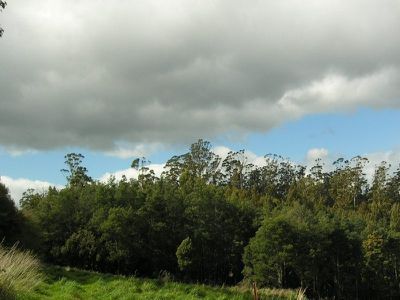 Rankin Road, Franklin