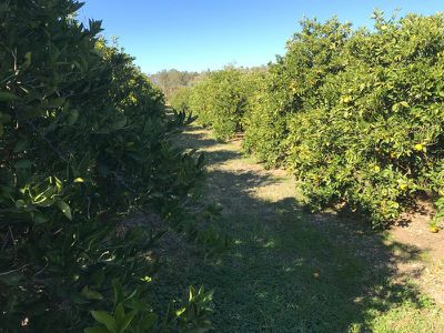 2 / Murray Road, Murrabit