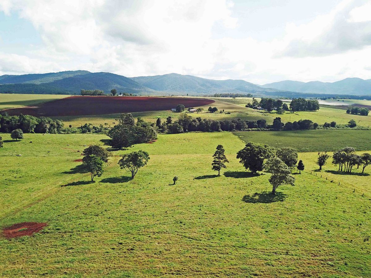 Atherton
