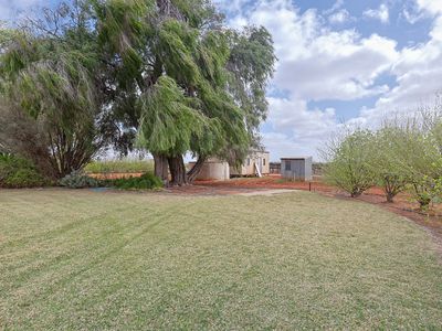 88 Parraweena Road, Coomealla