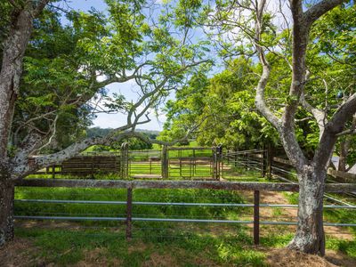 530 Eurobodalla Road, Bodalla