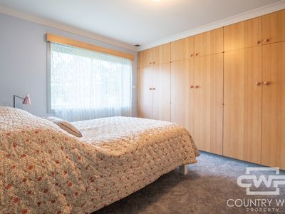 340 Furracabad Road, Glen Innes